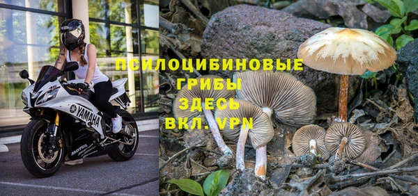 не бодяженный Кинешма